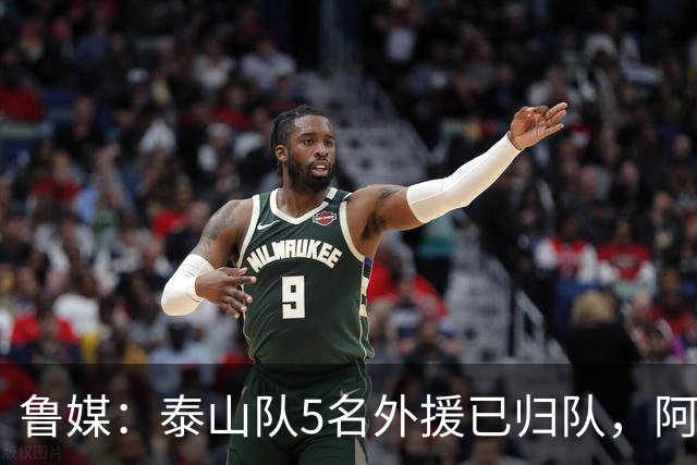 鲁媒：泰山队5名外援已归队，阿尔瓦罗6月份复出难度比较大